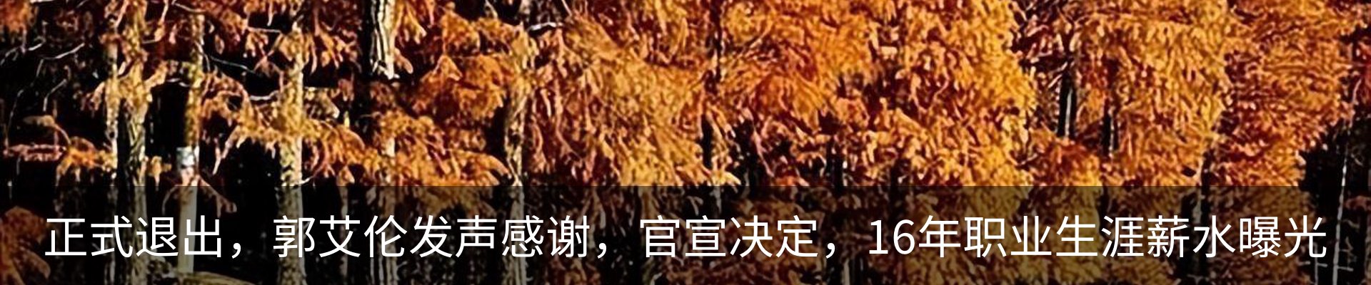 内页banner